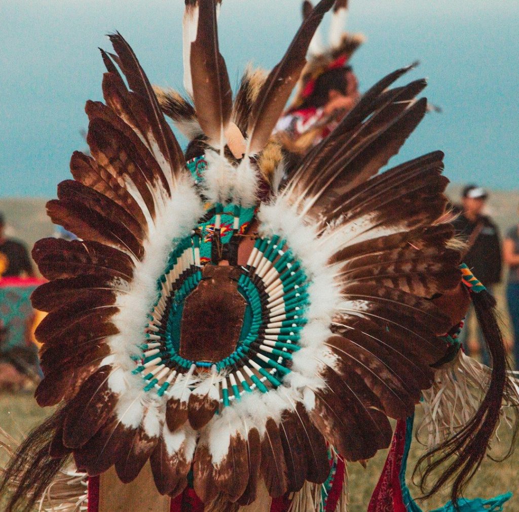 person wearing brown, white, and teal feather costume
