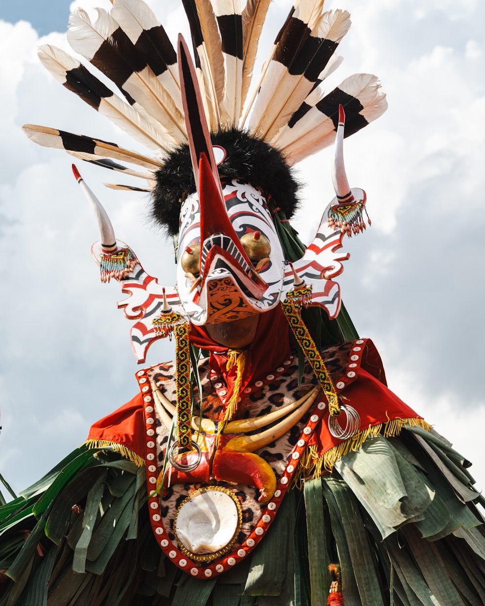A man wearing a costume made of feathers and feathers
